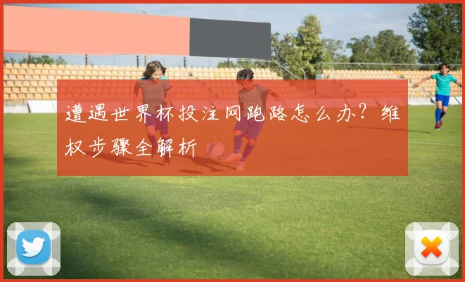 遭遇世界杯投注网跑路怎么办？维权步骤全解析