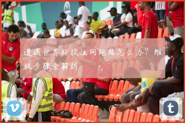 遭遇世界杯投注网跑路怎么办？维权步骤全解析