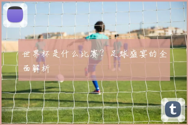 世界杯是什么比赛？足球盛宴的全面解析